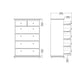 Paris Chest of 6 Drawers in White and Oak ModelBedroom
