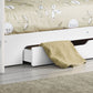 Orion Bunk Bed With Drawer and Shelves - White Bunk Bed with Storage Drawer ModelBedroom