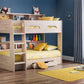 Orion Bunk Bed Sonoma Oak - Kids Single Bunk Bed With Shelves ModelBedroom