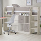 Saturn Mid Sleeper Taupe - Kids Mid Sleeper With Storage and Chest Drawer ModelBedroom