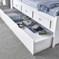 Bedmaster Veera White Wooden Guest Bed - Veera White Day Bed ModelBedroom